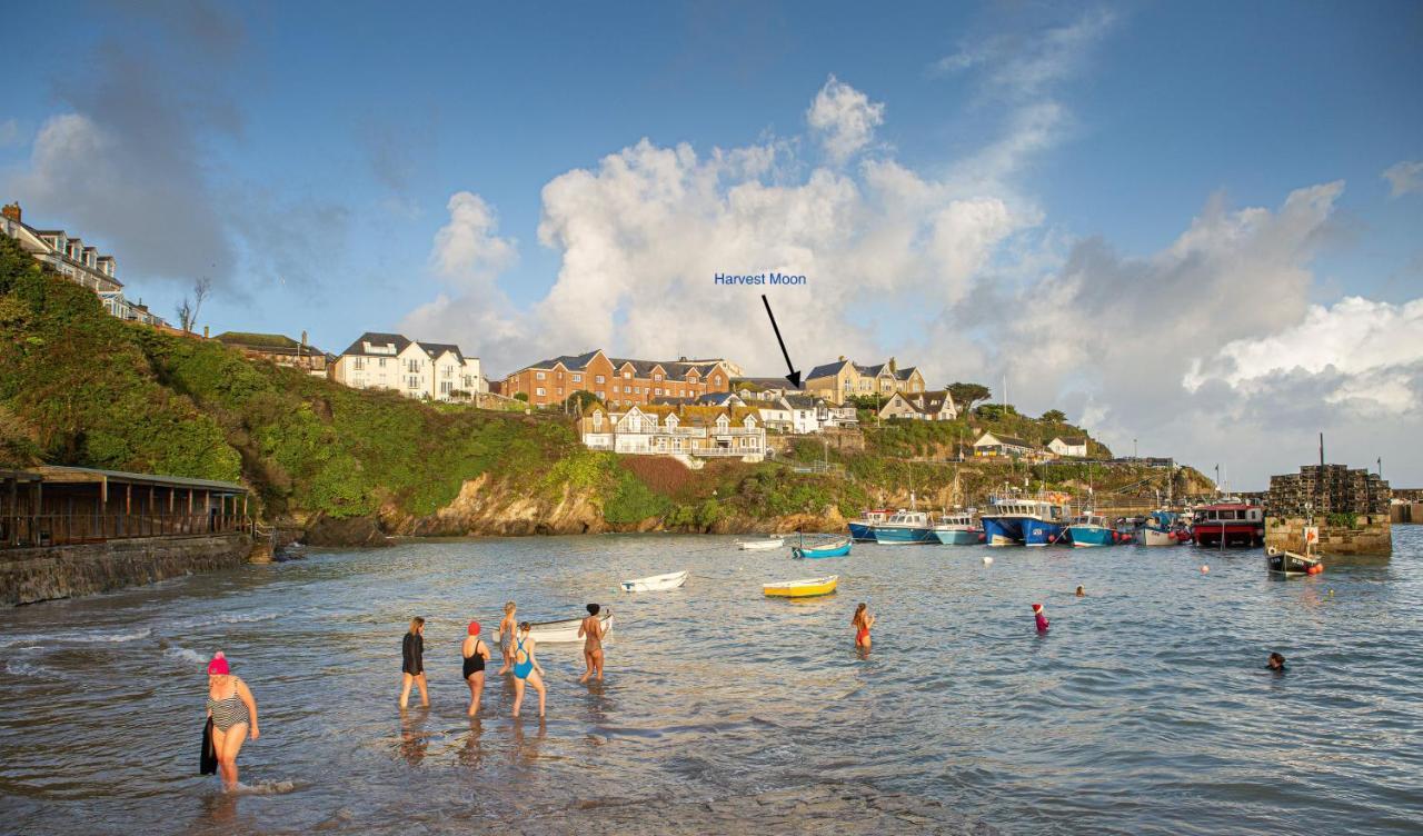 Appartamento Harvest Moon New Quay Esterno foto