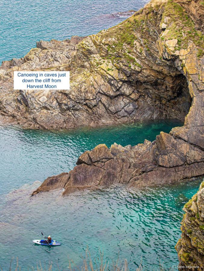 Appartamento Harvest Moon New Quay Esterno foto