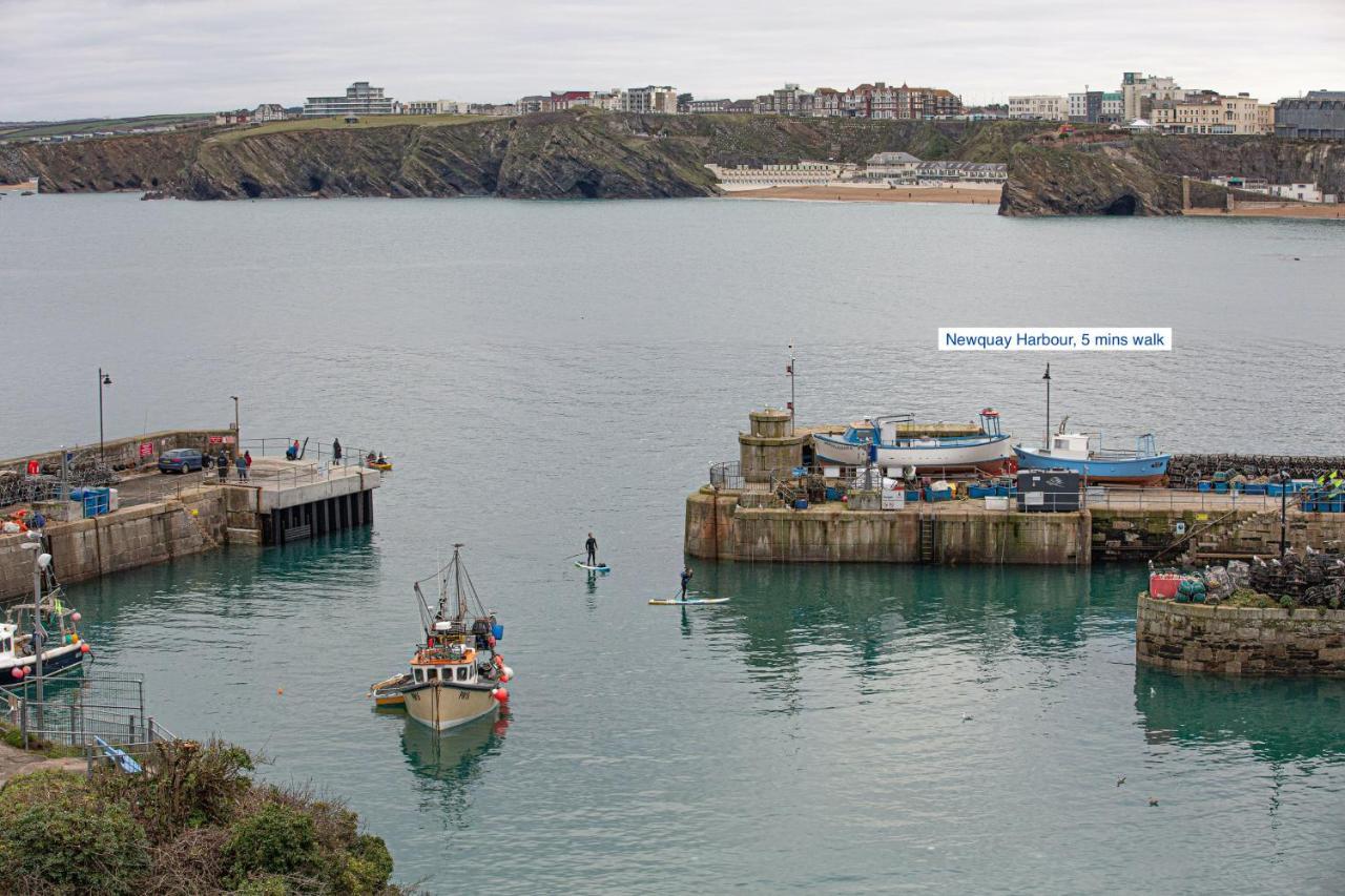 Appartamento Harvest Moon New Quay Esterno foto