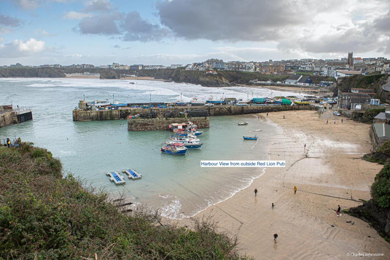 Appartamento Harvest Moon New Quay Esterno foto