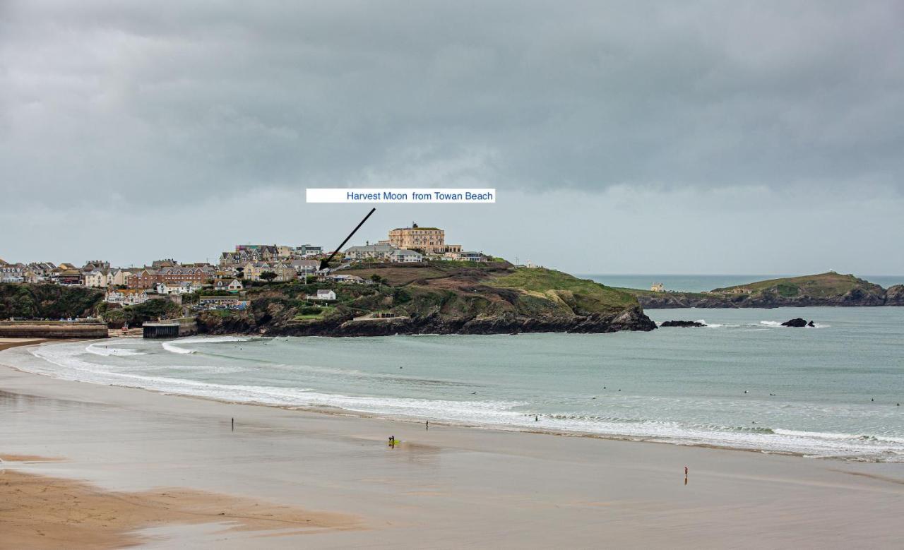 Appartamento Harvest Moon New Quay Esterno foto